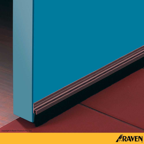 Raven RP2a Door Brush Seal - Image 3